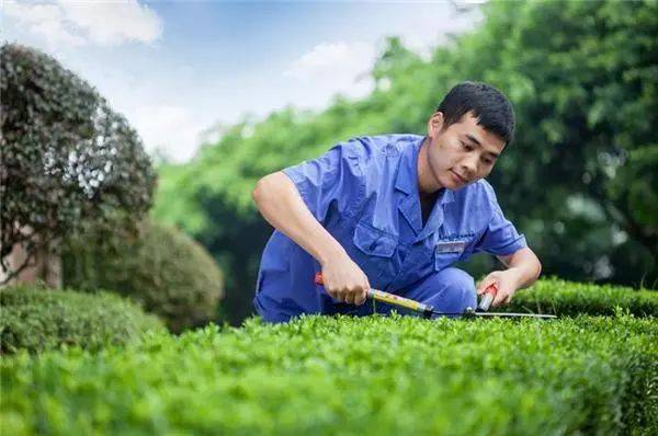 小區物業環境管理服務規范清潔衛生綠化養護環境消殺